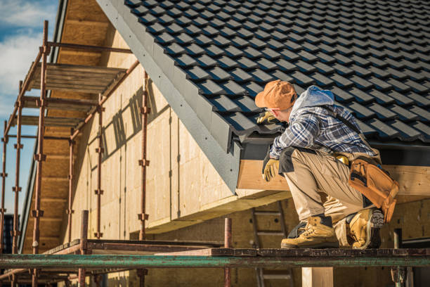 Best Roof Maintenance and Cleaning  in Knob Noster, MO